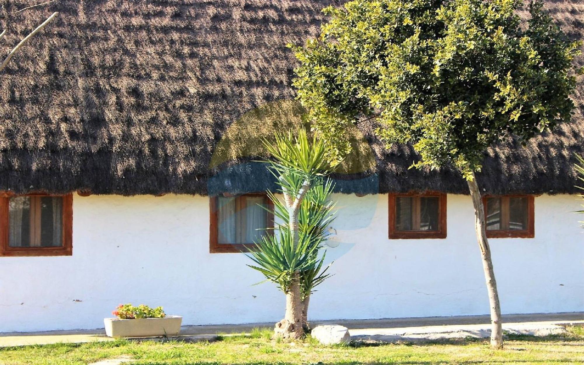 Barraca Tipica Del Delta, Con Piscina, Jardin Y Barbacoa - Deltavacaciones Villa Sant Jaume d'Enveja Exterior photo